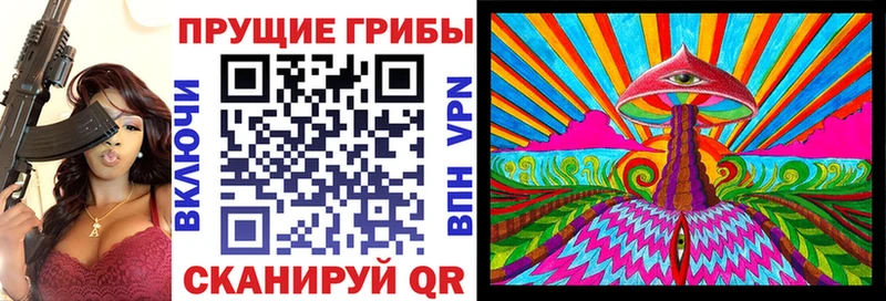 Псилоцибиновые грибы Psilocybe  Боровск 